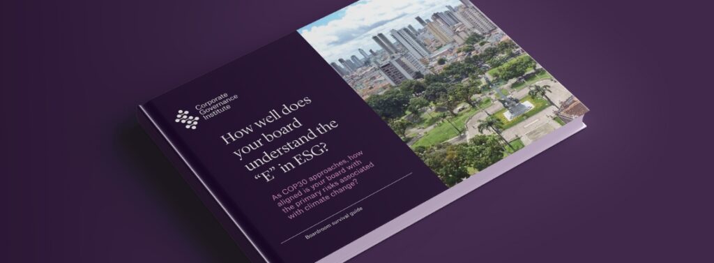 A board member's guide to the E in ESG