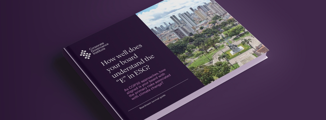 A board member's guide to the E in ESG
