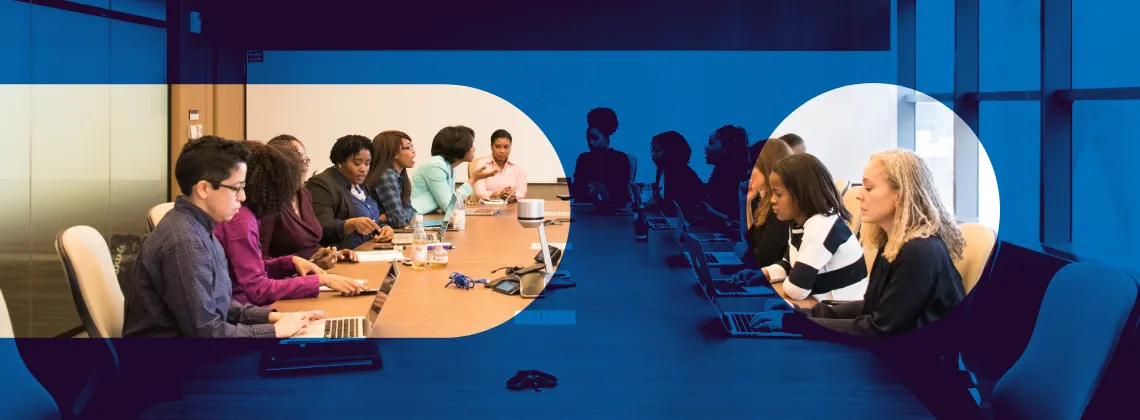 Diversity board position