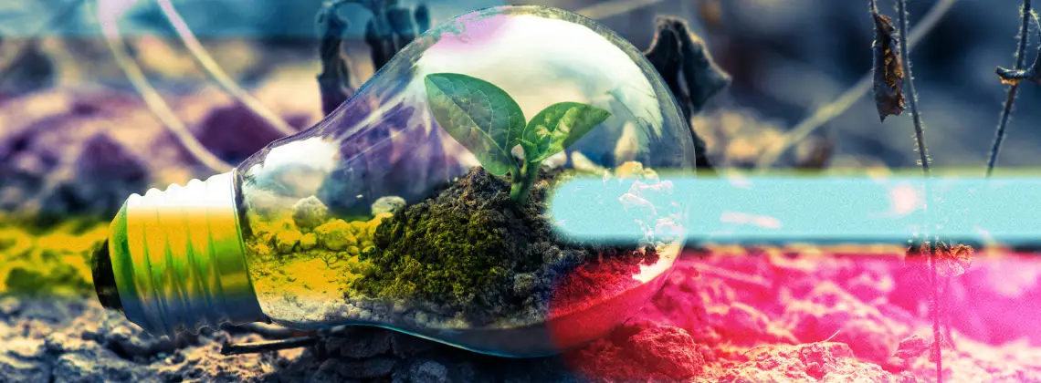 The top ESG issues for boards