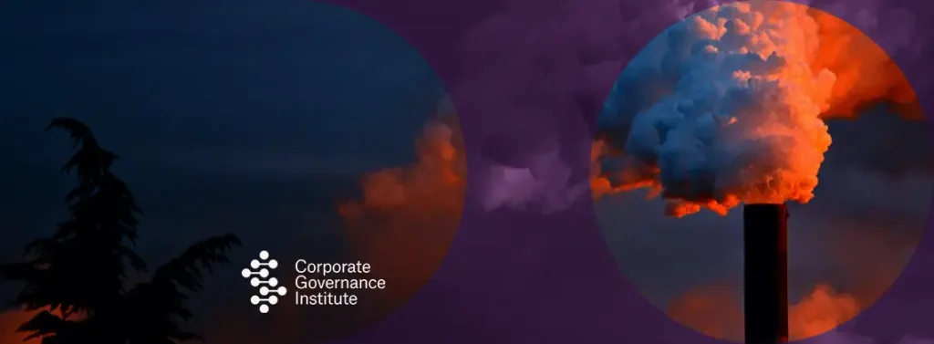 What are scope 3 emissions