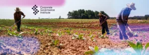 Anti-slavery day reflections