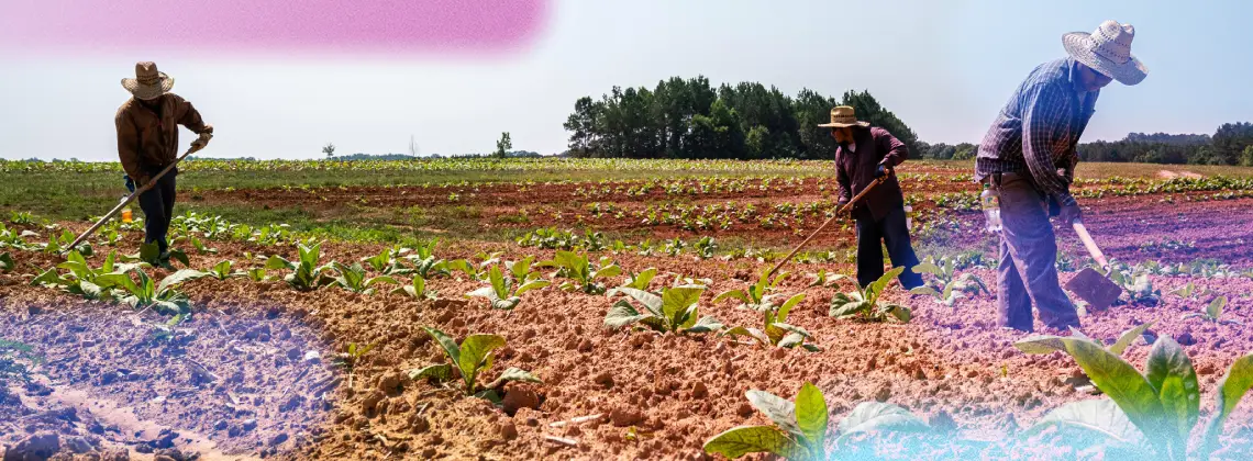 Anti-slavery day reflections